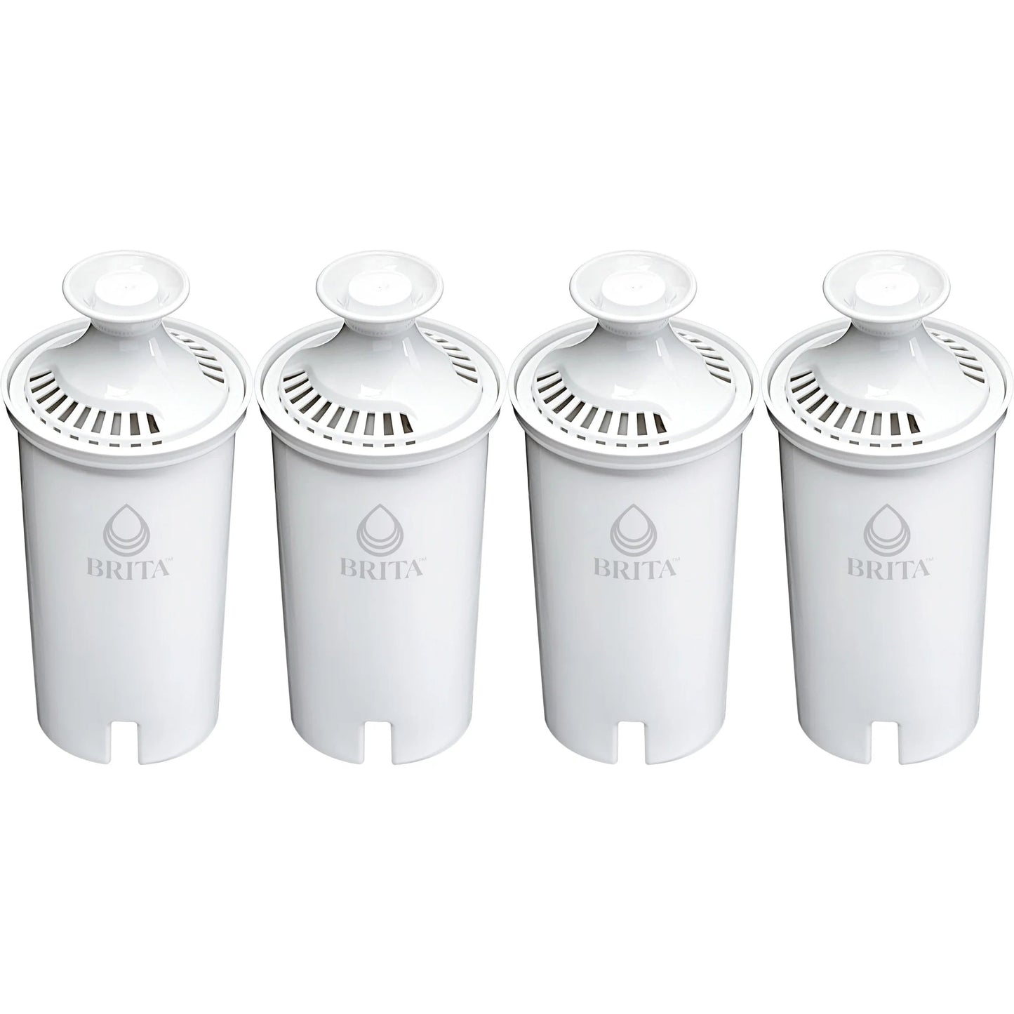 Premium 32 Oz Stainless Steel Leak-Proof Filtered Water Bottle with Carbon Filtration