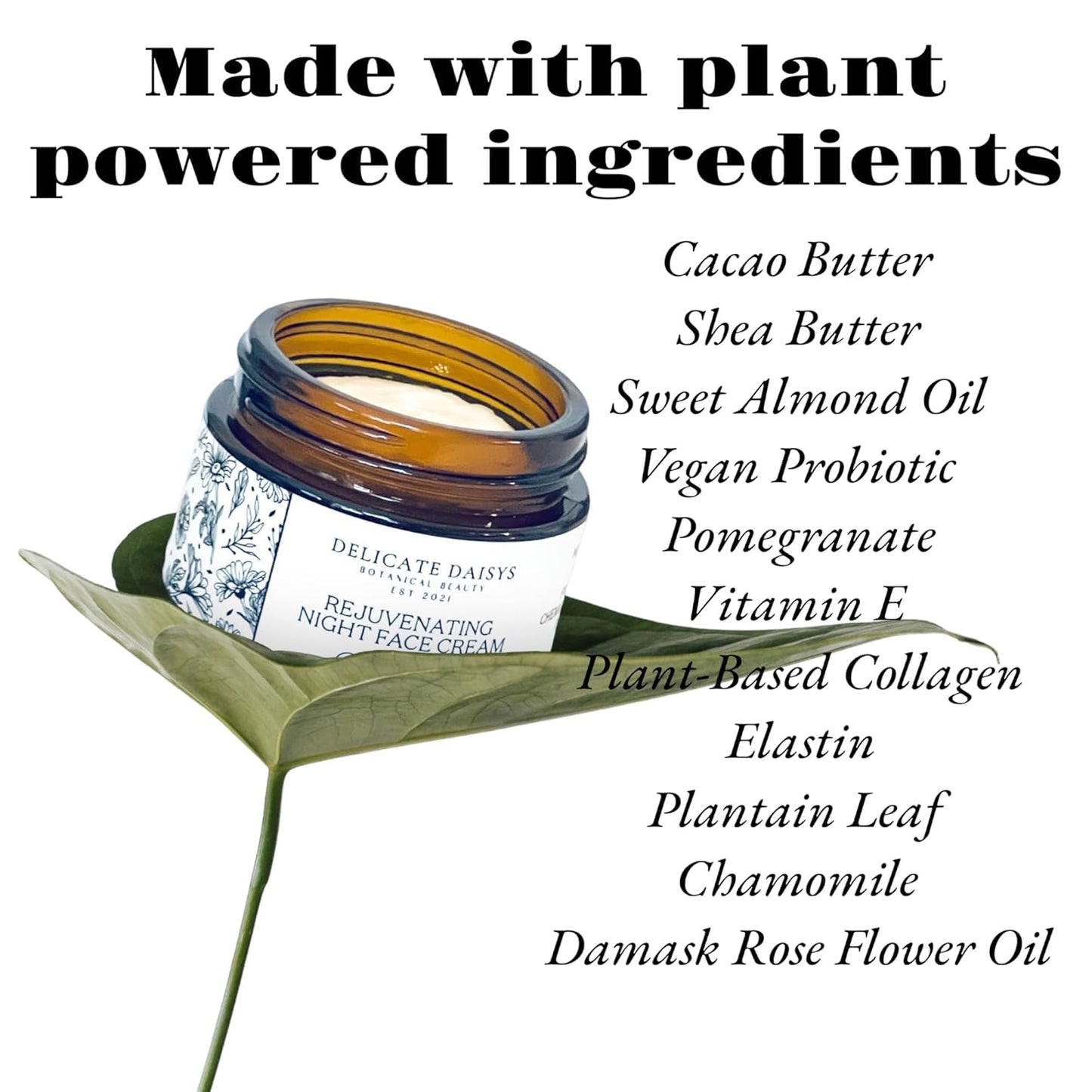 Anti-Aging Rejuvenating Night Face Cream with Shea Butter, Cocoa Butter, Bulgarian Rose Oil & Vitamin E - 1.69 Fl Oz - Natural, Organic, Vegan & Cruelty-Free