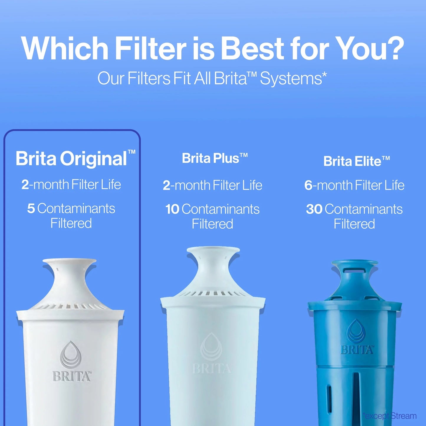 Premium 32 Oz Stainless Steel Leak-Proof Filtered Water Bottle with Carbon Filtration