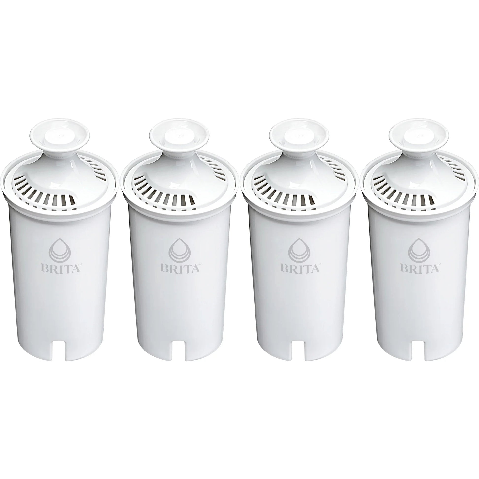 Premium 32 Oz Stainless Steel Leak-Proof Filtered Water Bottle with Carbon Filtration